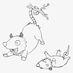 Possum Drawing At Getdrawings - Drawing