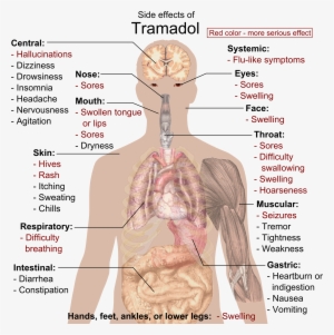 Side Effects Of Tramadol