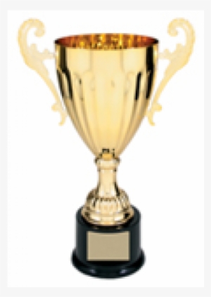 Metal Cup Trophy - Trophy Cup