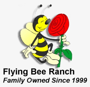Honey Bee Products & Honey Tasting In Salem Oregon - Cartoon Bee Honey Nut Cheerios