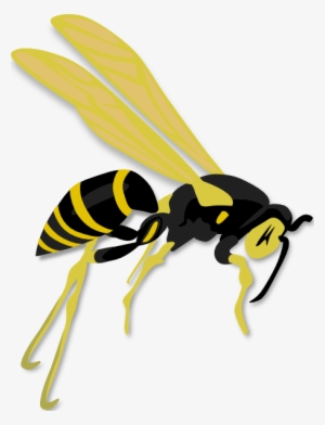 Clip Art Wasp