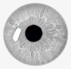 Eye Stickers Transparent Grey Filter Aesthetic Freetoed - Transparent Eye White Color