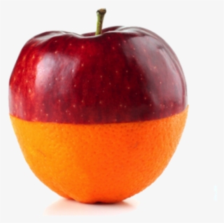 Apples And Oranges - Apples And Oranges Png