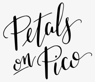 Petals On Pico Png - Calligraphy