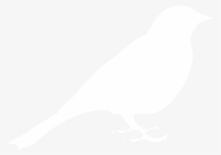 Bird Boxes - Weiße Vogel-servietten Servietten