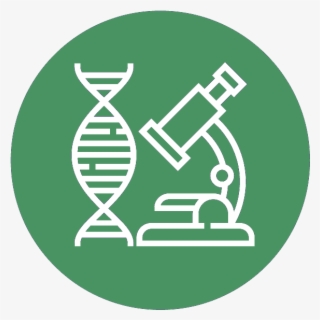 Cancer Research Domain - Building Circular Icon