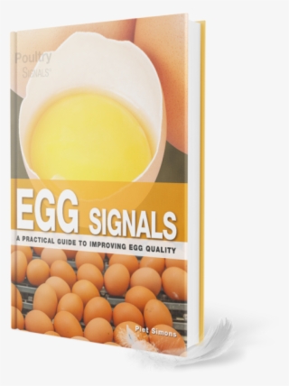 Practical Guide To Improving Egg Quality - Egg Signals: A Practical Guide To Improving Egg Quality