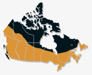 Black-capped Chickadee Range Map - Map Of Canada Icon
