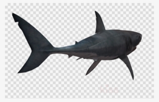 Shark Png Transparent Clipart Great White Shark Clip - Overwatch Reaper Artwork