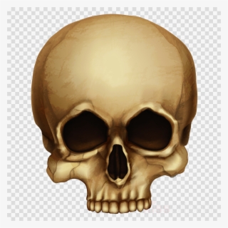 Halloween Skull Png Clipart Skull Clip Art - Hoffman Lake Mesh Cap