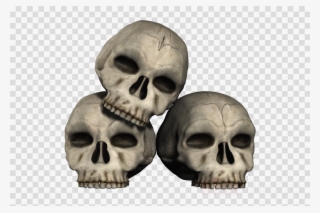 Imagen Png De Craneos