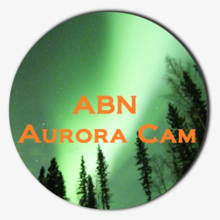 Abn Cam Logo Transparent With Black Shadow - Shortleaf Black Spruce