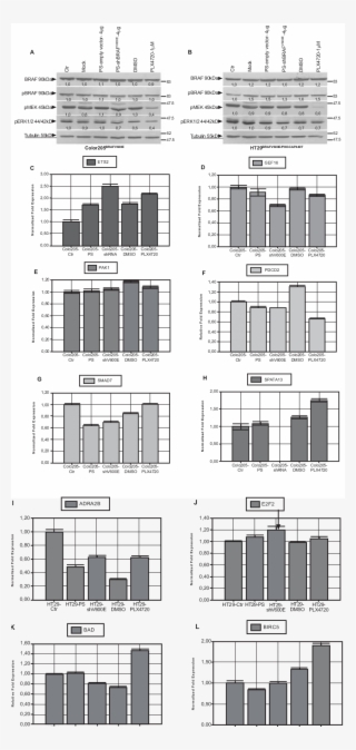 Download - Architecture