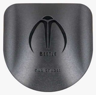 Beetle Angled