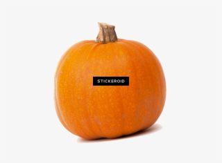 Тыква Pumpkin - Pumpkin