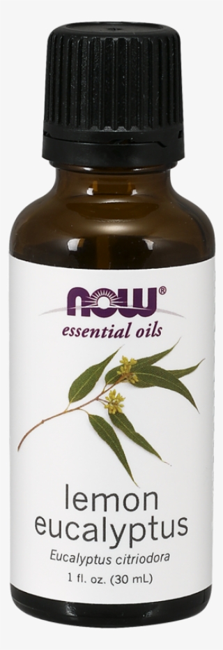 Lemon Eucalyptus Oil - Now Essential Oils