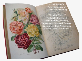 C1900 Beetons Dictionary Of Every Day Gardening Book - Gardening