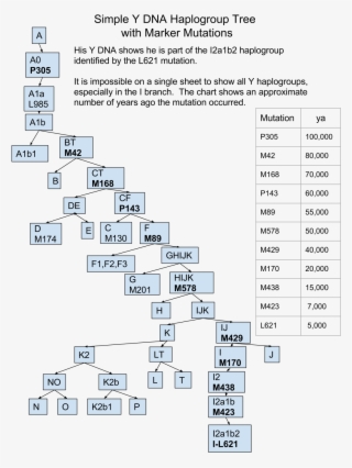 John Y Tree - Number