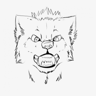 Medium Size Of How To Draw A Wolf Face Front View An - Gambar Wajah Serigala Dari Pensil