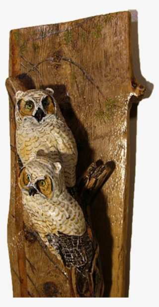 Great Horned Owl Juvenile - Great Horned Owl