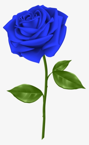 Svg Blue Rose Clipart - Blue Rose Png
