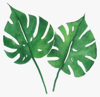 Green Leaves Sticker By Anna - Tropical Green Leaves Printable