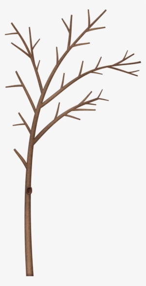 Winter Tree Clipart At Getdrawings - Clip Art Tree Limb Borders