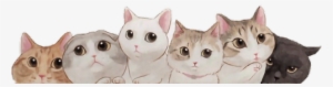 The Less Png Wanted - Kitten Png