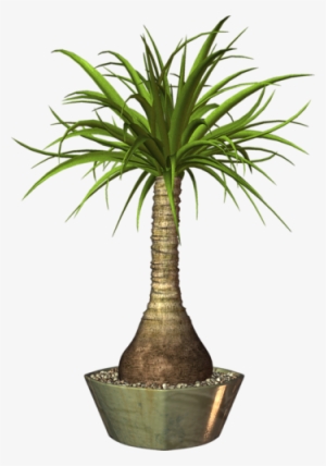 Pot Plants, Elements Of Art, Flower Art, Decoupage, - Png Image Plants Pot