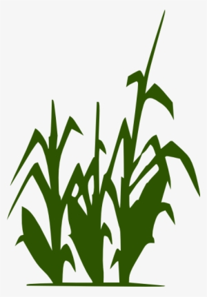 How To Set Use Corn Stalk Clipart