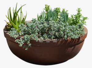 Parent Category - Planters With Transparent Background