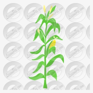 Cornstalk Stencil For Classroom / Therapy Clipart - Corn Stalk