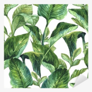 Tropical Leaves Watercolor Png Clip Stock - Tropical Leaves Wallpaper Watercolour