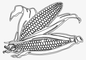 And Pumpkins Coloring Page - Corn Clipart Black And White