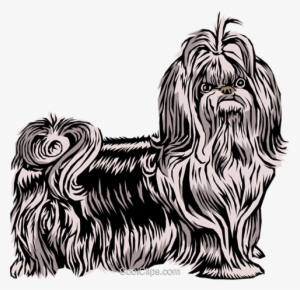 Shih Tzu Dog Royalty Free Vector Clip Art Illustration - Shitzu Png Vector