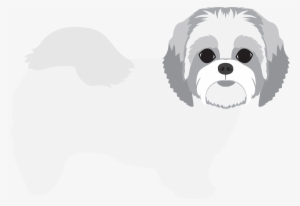 Share This - - Maltese