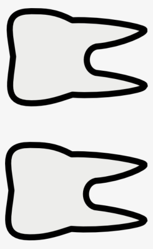 Two Front Teeth Clipart