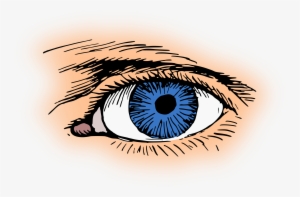 Eye Color Iris Pupil Visual Perception - Clip Art