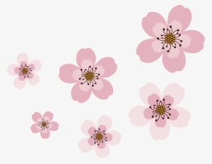 Sakura - Japanfest