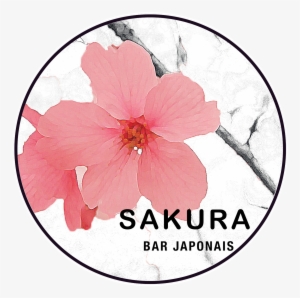 Sakura Sushi Bar