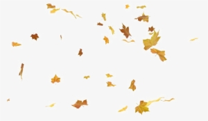 Falling Leaf Png Photos - Stock Footage