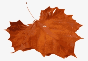 How To Set Use Fall Leafs Clipart