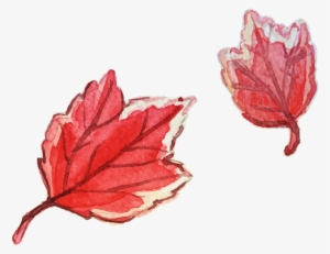 Here Are Some Watercolor Leaves For The Fall - Maple Leaf