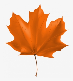 Autumn Leaf Clipart Png