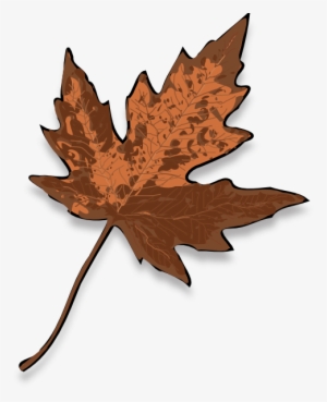 Brown Maple Leaf Svg Clip Arts 486 X 599 Px