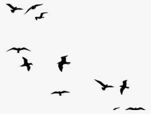 Cool Png Designs Tumblr - Bird Flying Silhouette Png