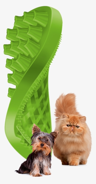 Green Brush With Animals - Petlife Pet+me Grooming Brush For Cats - Ideas 4 Pets