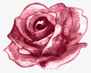 Watercolor Flower Floral