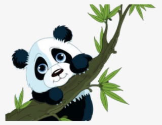 Panda Bear Clipart - Panda Cartoon Png