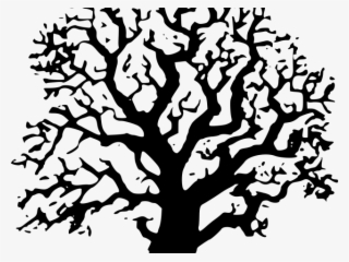 Tree Clipart Clipart Tree Drawing - Black And White Tree Clipart